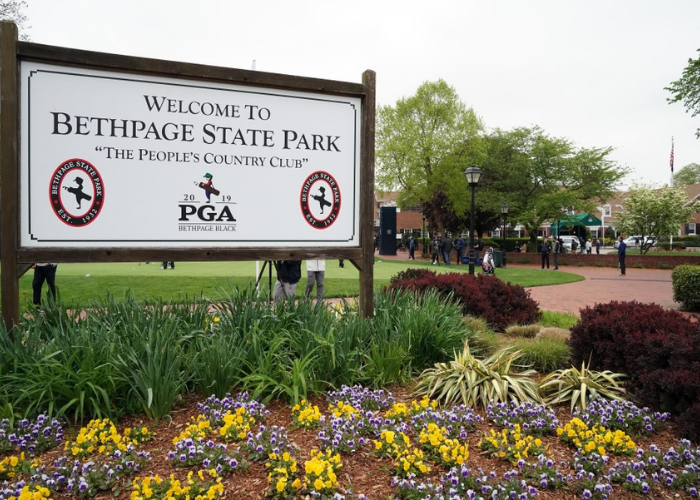 Untitled design (17)