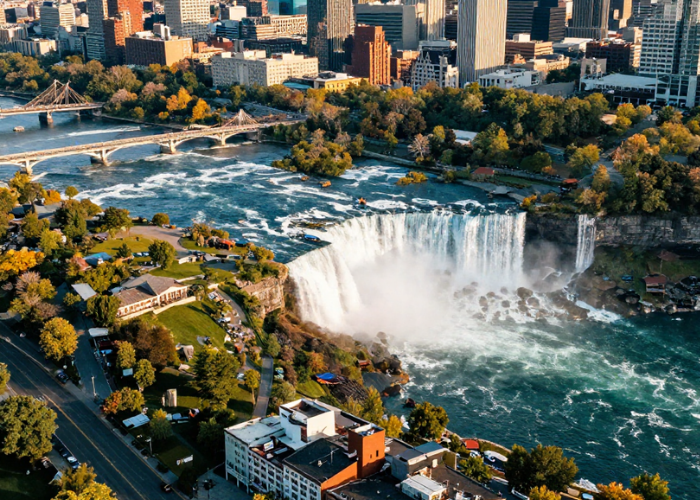 Untitled design (18)