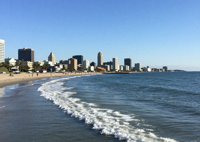 Untitled design (19)